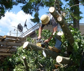 European Tree Worker (ETW’er)